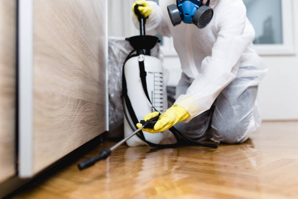 Best Exterminator Services  in Atascocita, TX