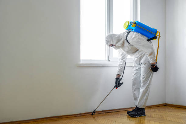 Best Pest Removal Services  in Atascocita, TX