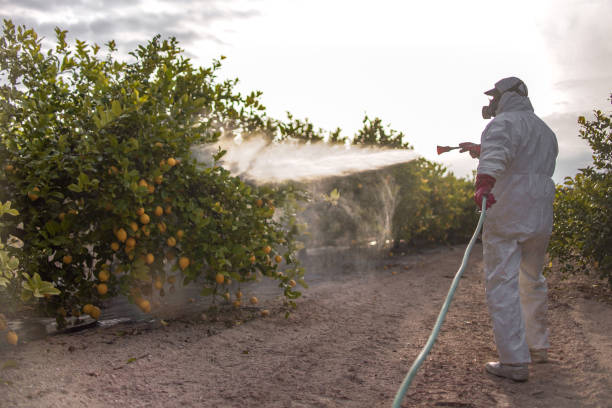 Best Affordable Pest Control Services  in Atascocita, TX