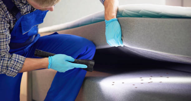 Best Termite Control Services  in Atascocita, TX