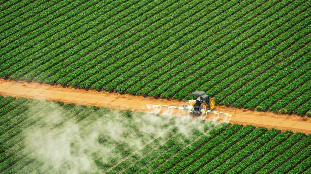 Best Pest Removal Services  in Atascocita, TX