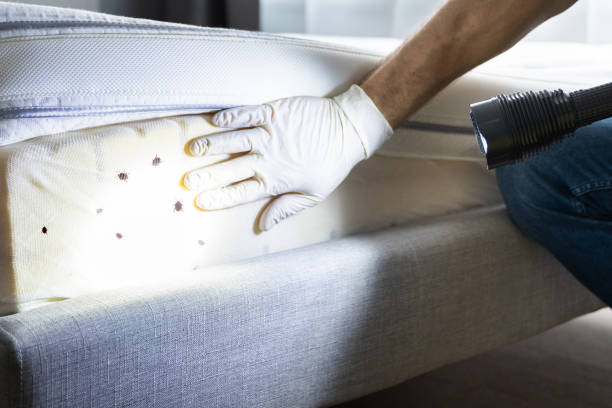 Wildlife Control Services in Atascocita, TX