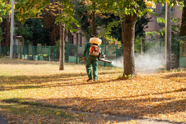 Best Exterminator Services  in Atascocita, TX