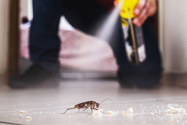 Best Best Pest Control Companies  in Atascocita, TX